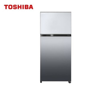 TOSHIBA東芝 608L 極光鏡面抗菌鮮凍變頻電冰箱 GR-AG6