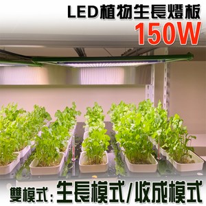 植物生長燈丨燈具照明丨特力家購物網