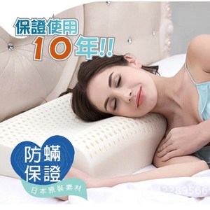 【R.Q.POLO】人體工學乳膠枕  保證使用10年(1入)